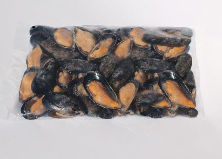 Mussel